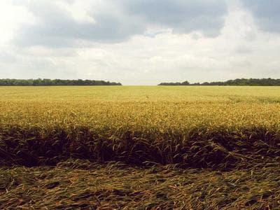blog-image
