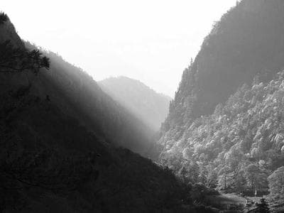 blog-image